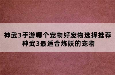 神武3手游哪个宠物好宠物选择推荐 神武3最适合炼妖的宠物